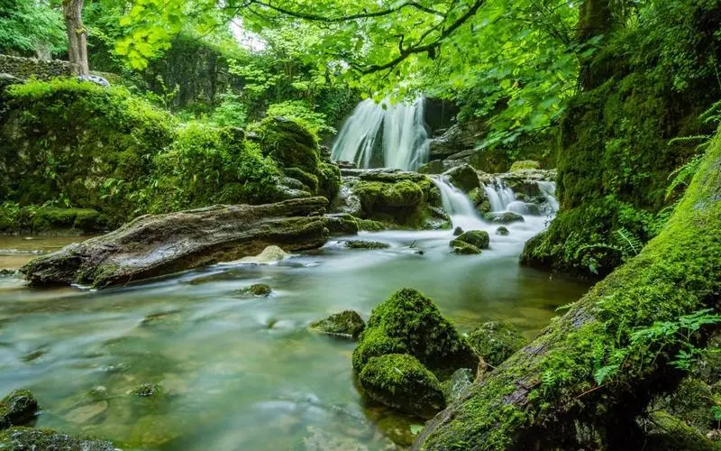 环保电子可靠性
